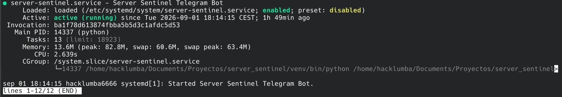 1. Bot Conversacional (bot.py)